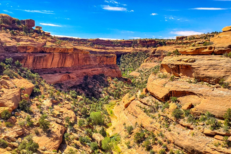 McCloyd Canyon