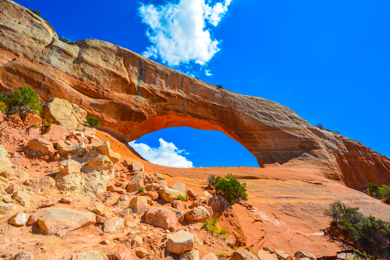 Wilson Arch