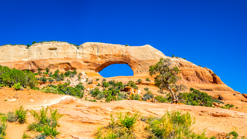 Wilson Arch