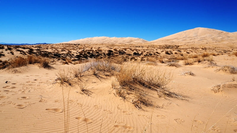 Mojave National Preserve