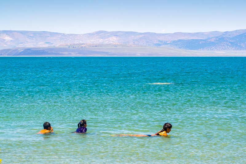 Baignade dans Mono Lake