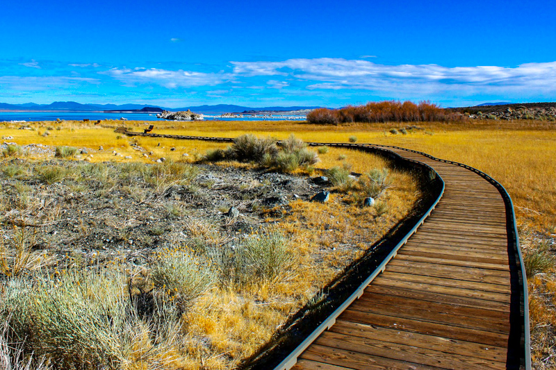 Bordwalk Trail