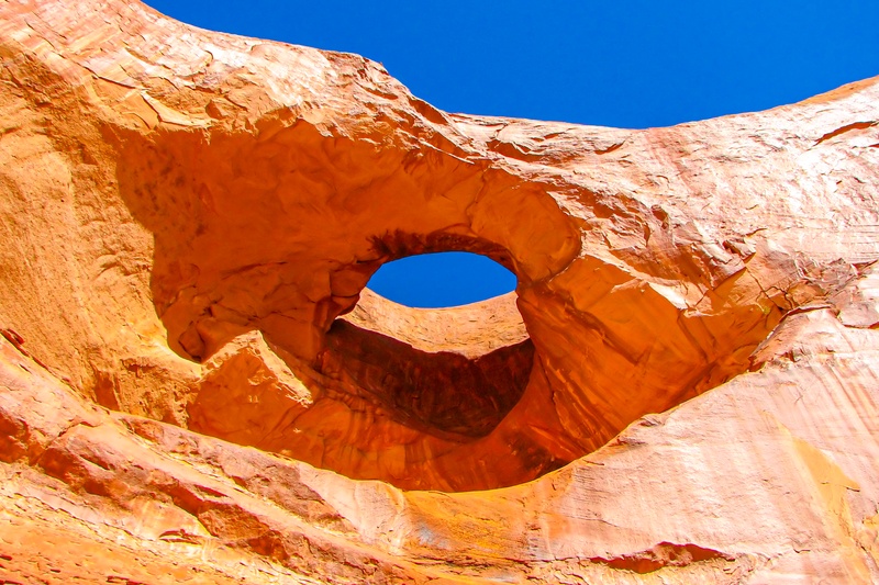Pine Tree Arch