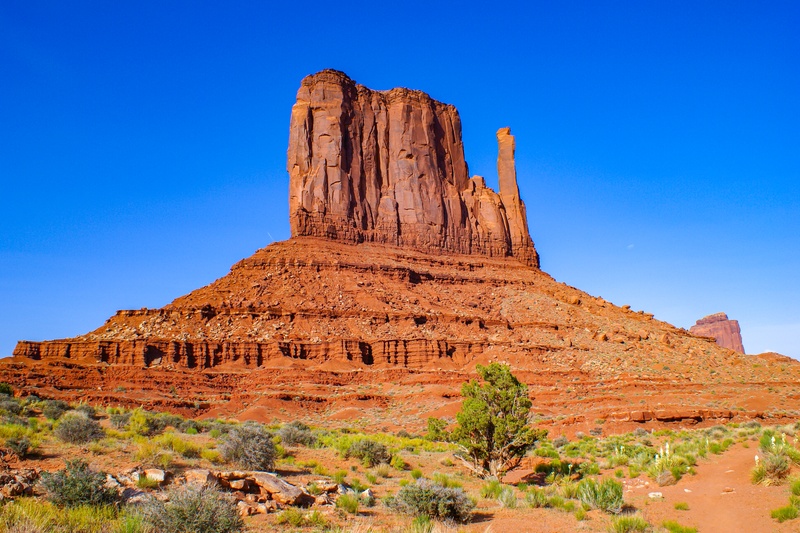 West Mitten Butte, vue de Wildcat Trail