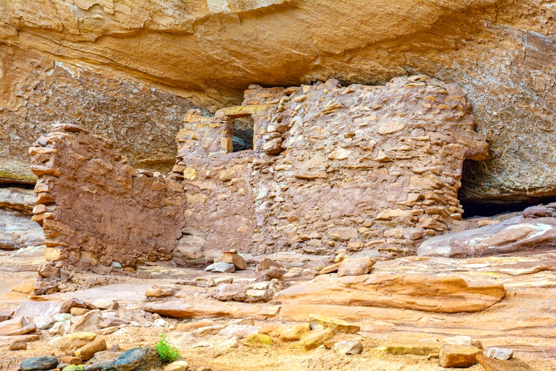 South Fork of Mule Canyon Ruin