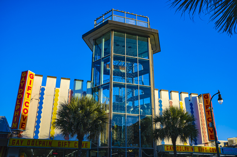 Gay Dolphin Gift Cove