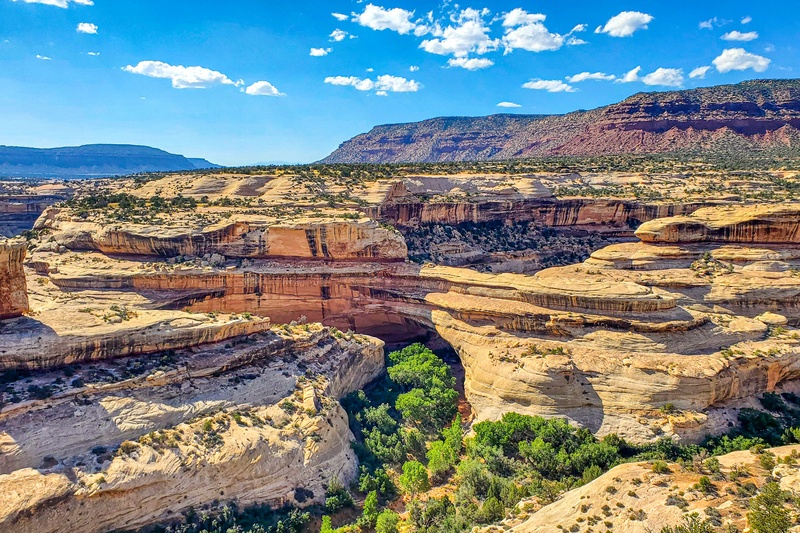 Kachina Bridge Viewpoint