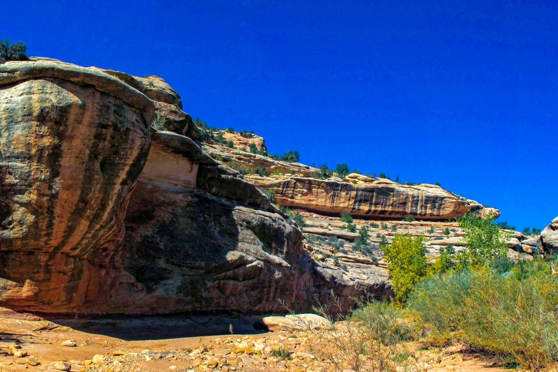 Loop Trails