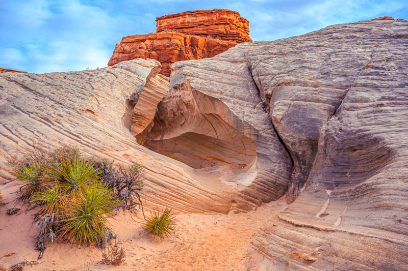 Nautilus Rock