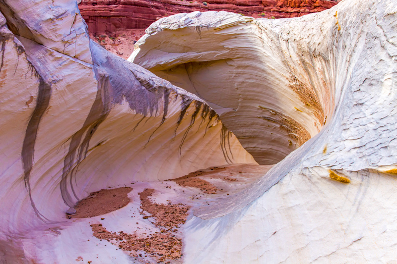 Nautilus Rock