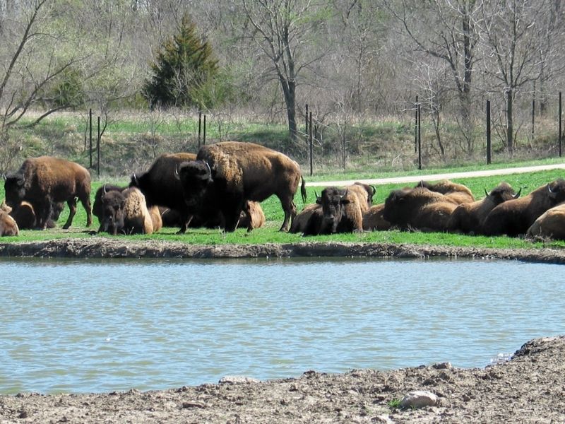 Conservation Park & Wildlife Safari