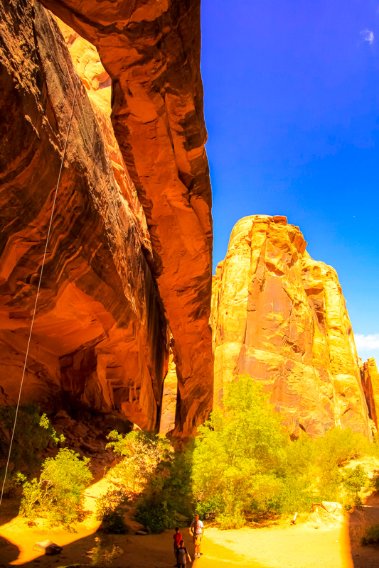 Morning Glory Arch