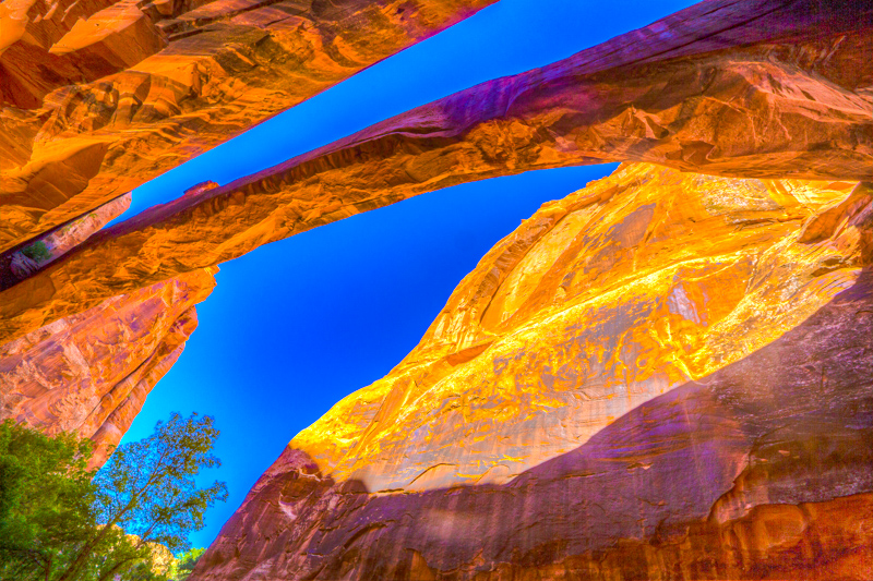 Morning Glory Arch