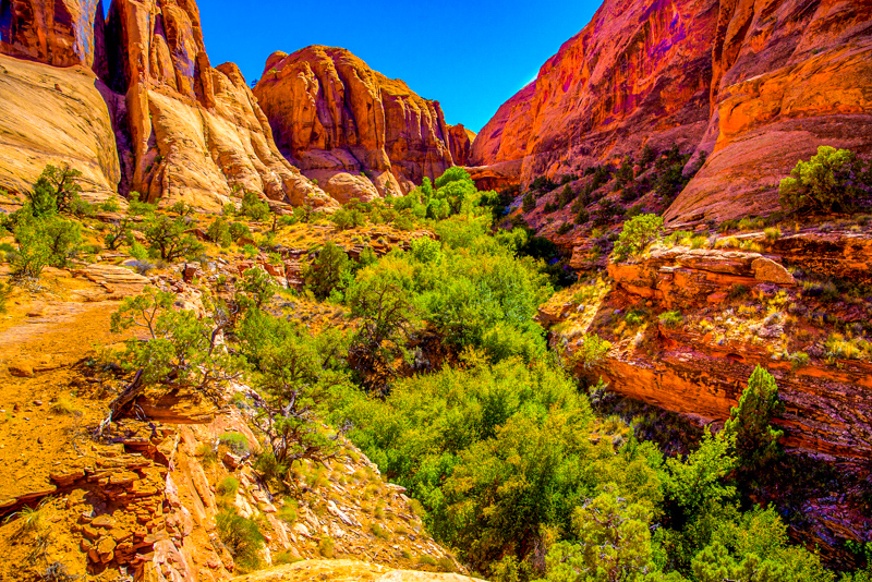 Grandstaff Canyon