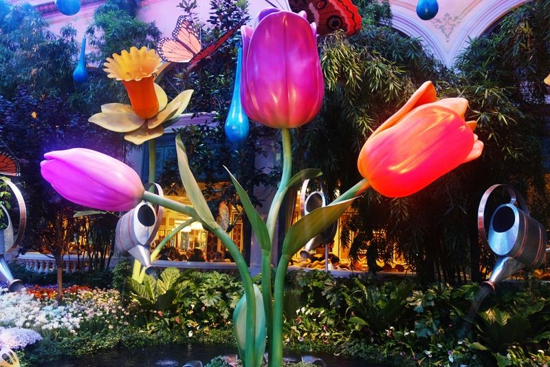 La serre du Bellagio