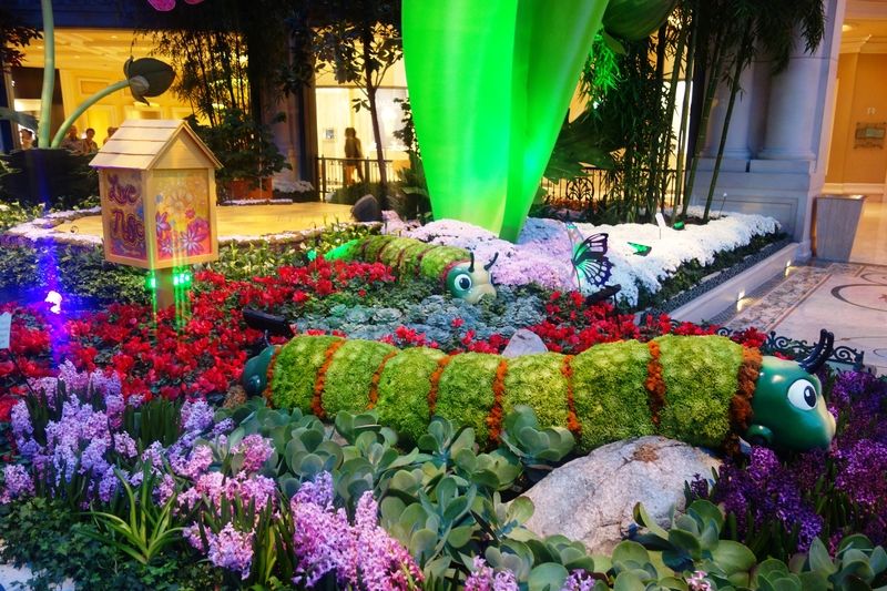 La serre du Bellagio
