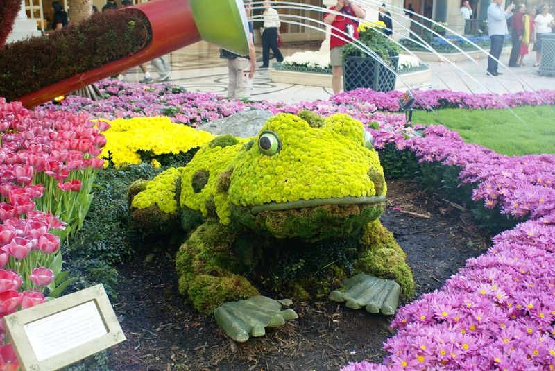 La serre du Bellagio