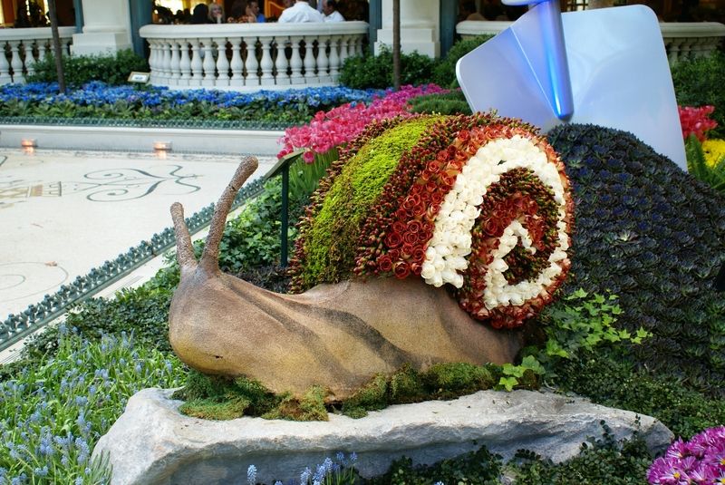 La serre du Bellagio