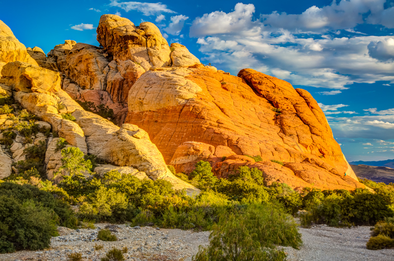 Red Rock Canyon NCA