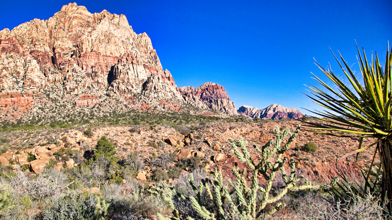 First Creek Trail