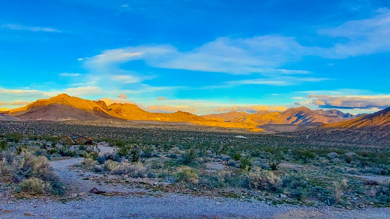 Paysage autour de Rhyolite