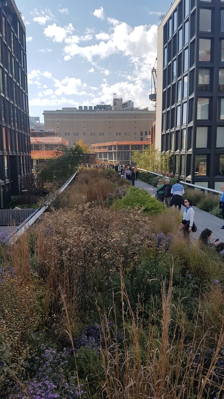 High Line