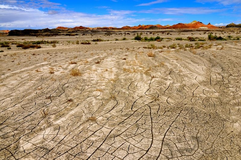 Bisti Wilderness
