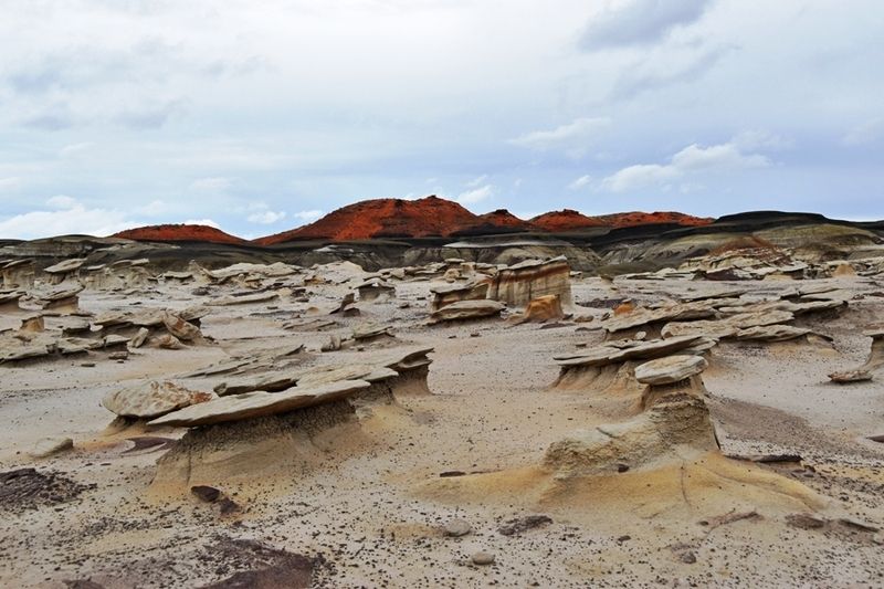 Bisti Wilderness