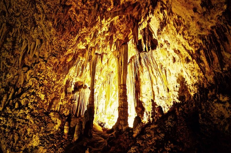 Natural Entrance Self-Guided Trail