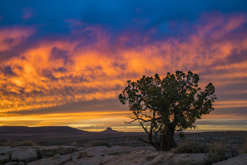 Bernalillito Mesa Loop