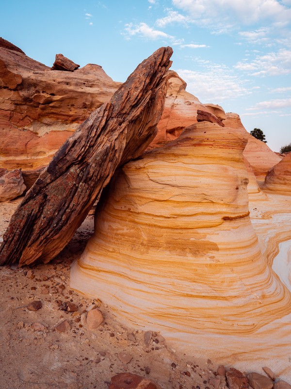 Yellow Waves, Hoodoo Trail