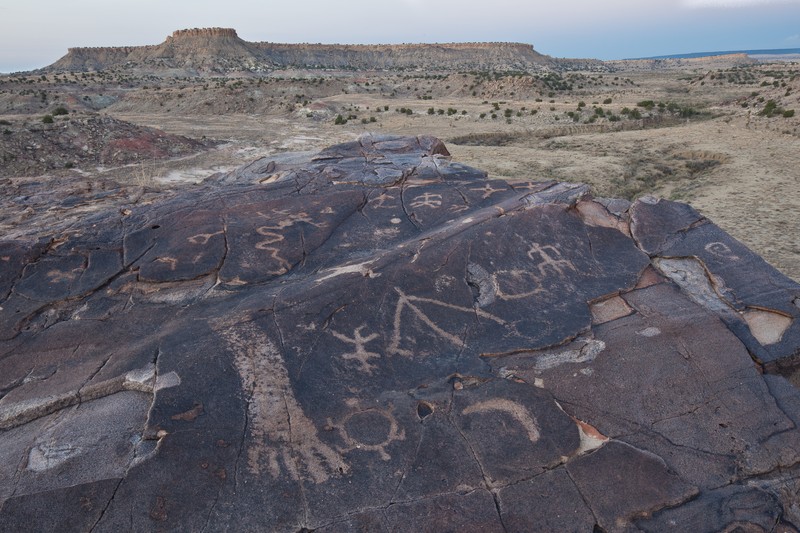 Pétroglyphes sur Seismosaurus Trail