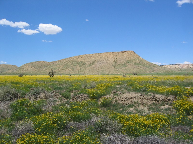 Ojito Wilderness