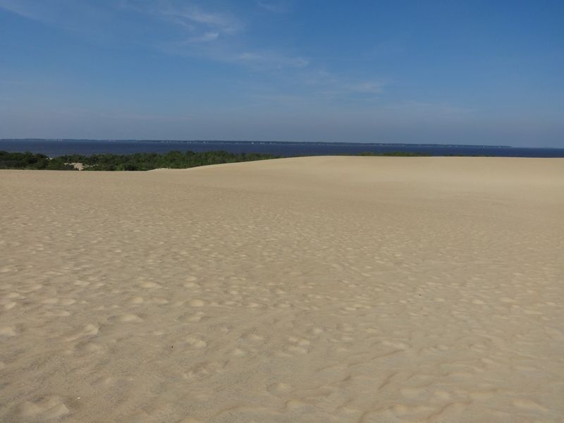 Jockey's Ridge State Park