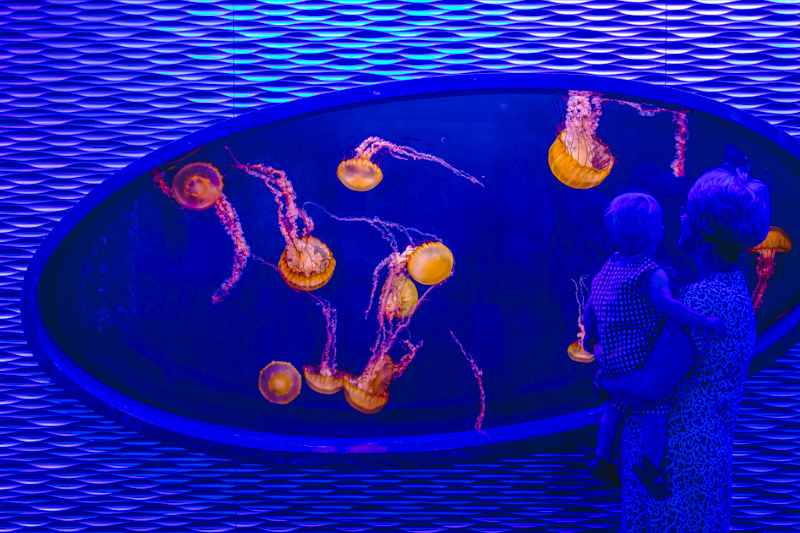 North Carolina Aquarium on Roanoke Island