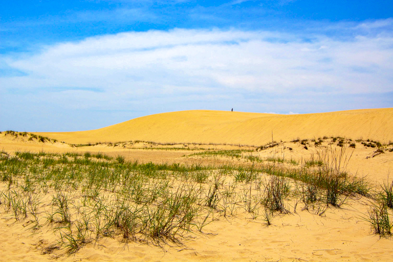 Jockey's Ridge State Park