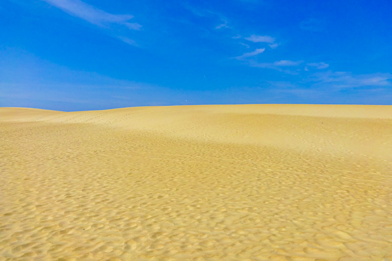 Jockey's Ridge State Park