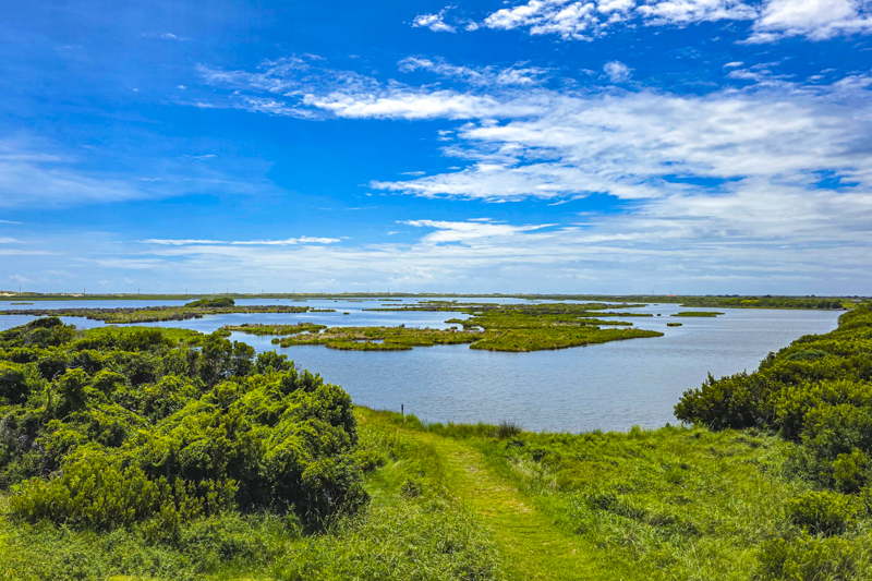 Pea Island National Wildlife Refuge
