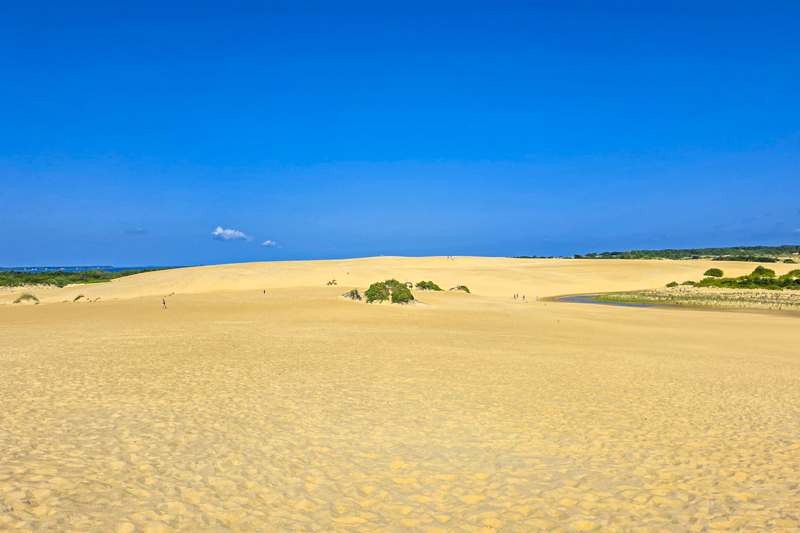 Jockey's Ridge State Park