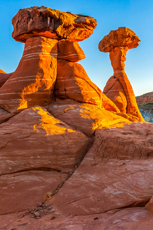 Toadstool Hoodoo