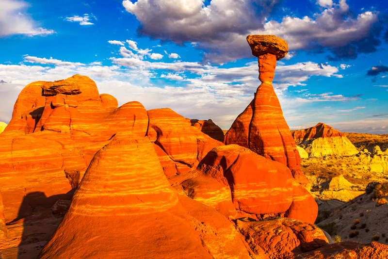 Toadstool Hoodoo