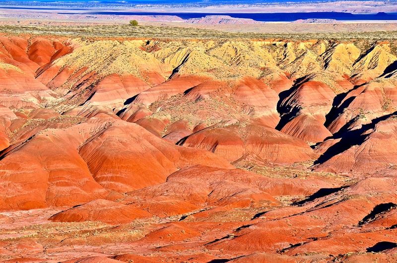 Petrified Forest NP & Painted Desert