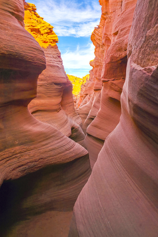 Rattlesnake Canyon