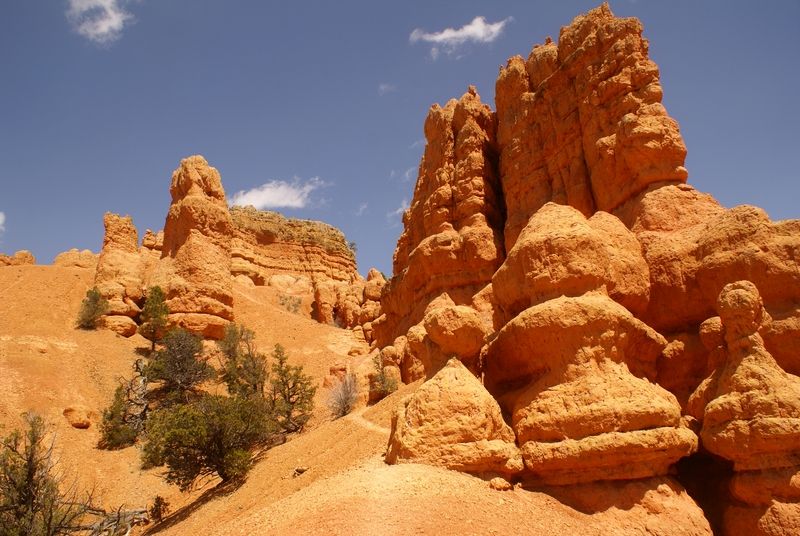 Red Canyon