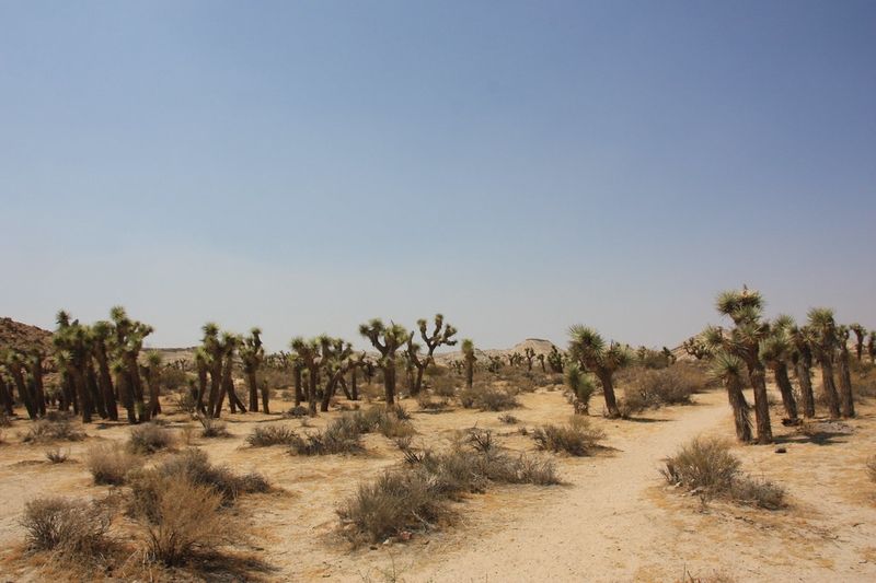 Ricardo Nature Trail