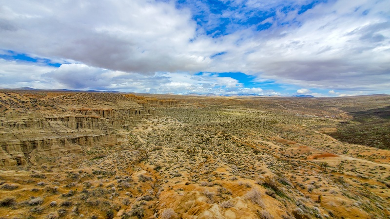 Desert View Nature Trail