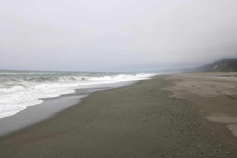 Gold Bluffs Beach