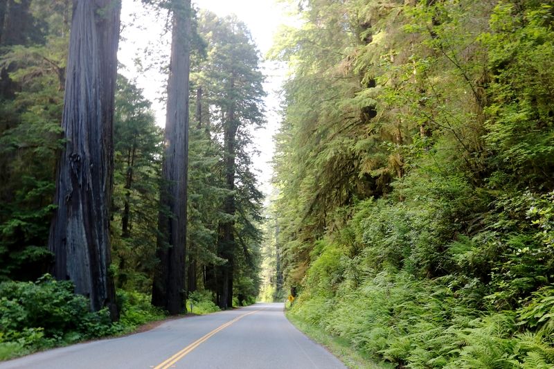 Newton B. Drury Scenic Parkway