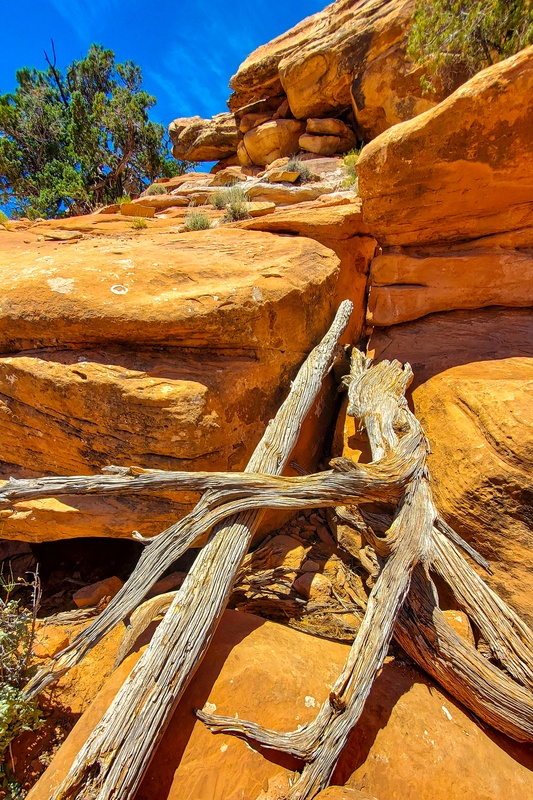 Citadel Ruin Trail