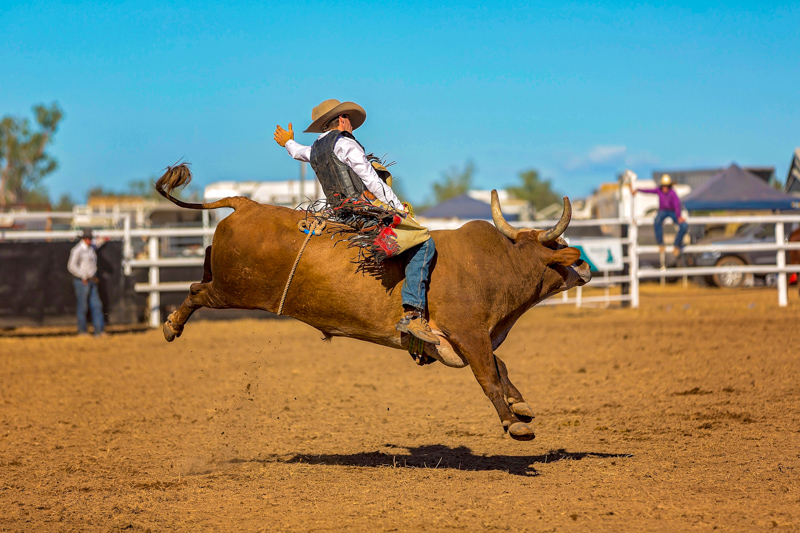 Bull Riding - Rodéo aux USA
